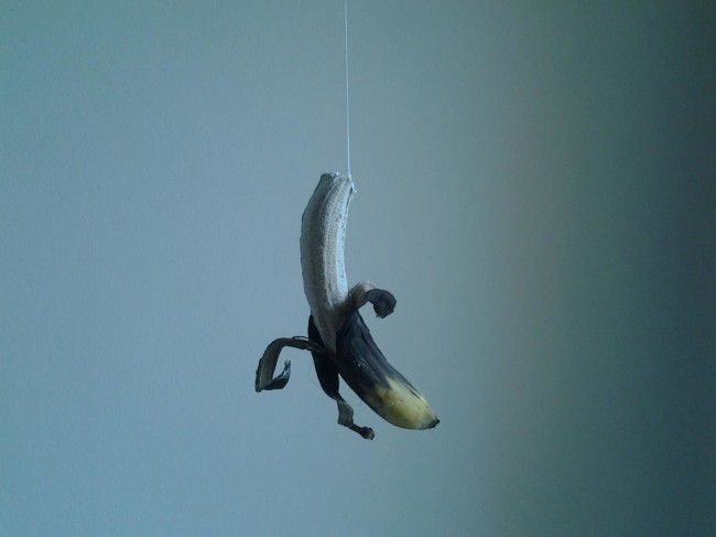 Luca Trevisani e Alessandro Biggio, 2013, gesso, banane, corda, dimensioni variabili (particolare)