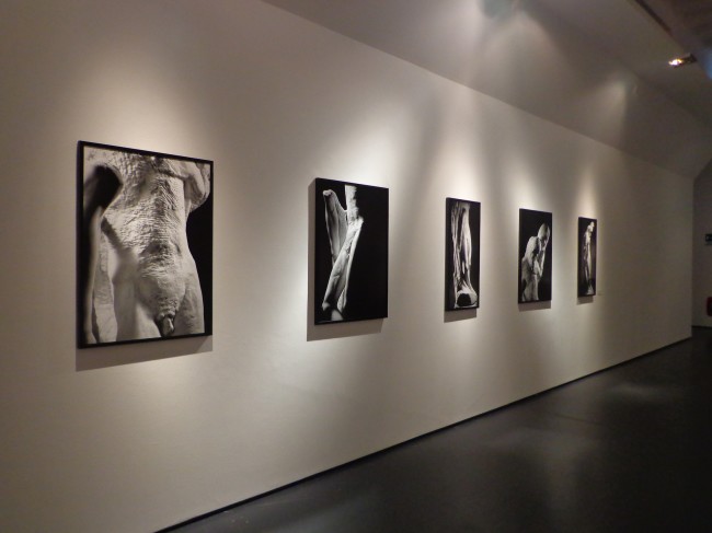 Aurelio  Amendola: In Atelier. Fotografie dal 1970 al 2014, veduta della mostra, La Triennale di Milano, Milano