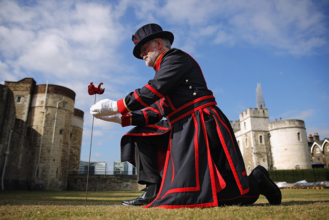 Tower of London's longest serving Yeoman Warder plants first poppy in major centenary commemoration. Photo: © Richard Lea-Hair/Historical Royal Palaces