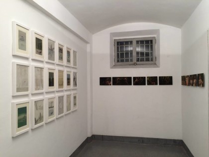 Naturalized a cura di Martina Corbetta, progetto per The Others 2014 - Torino
