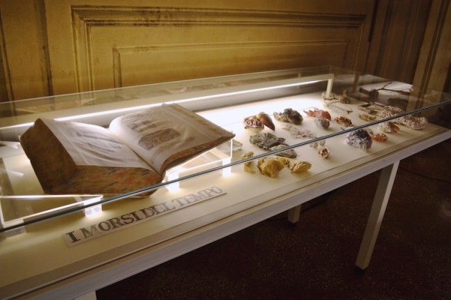 Sissi Manifesto Anatomico veduta della mostra presso Biblioteca Comunale dell'Archiginnasio  ph. Ilaria Medda