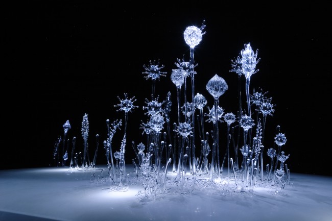 Mika Aoki, Forest, 2014, vetro, dimensioni variabili Courtesy l'artista
