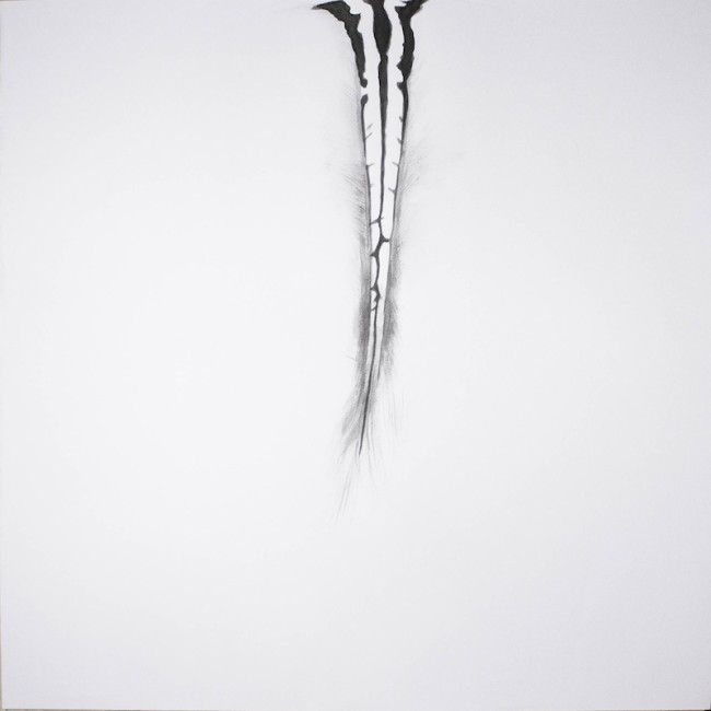 Amalia Del Ponte, Ars Memoriae (Coda di zebra), china su carta, 70x70 cm