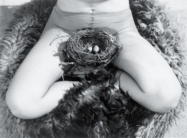 BIRGIT JÜRGENSSEN Nest, 1979 S/W-Fotografie © Estate of Birgit Jürgenssen / Bildrecht, Wien, 2015 / Sammlung Verbund, Wien