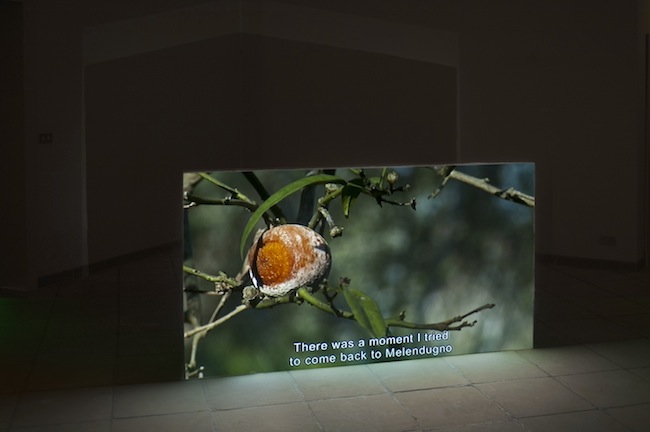 Sandro Mele, Ti avevo avvertito, 2014, Video installazione, 10’ 57’’ Proiezione su muro, cm. 100x180x10