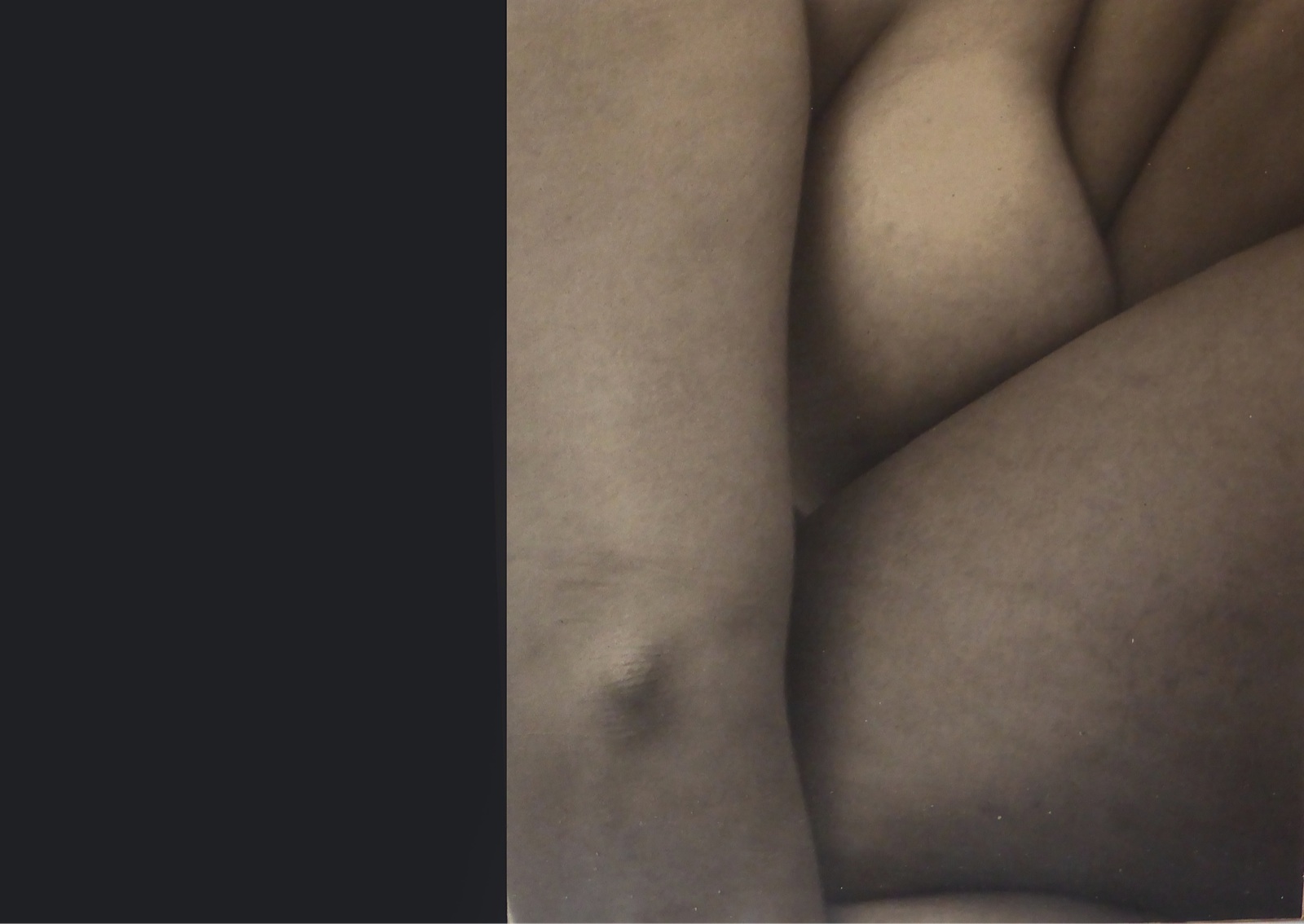 Corpo#4, 2010, materiali vari, 118,9 x 84,1 cm Courtesy dell’artista e Galleria Passaggi, Pisa