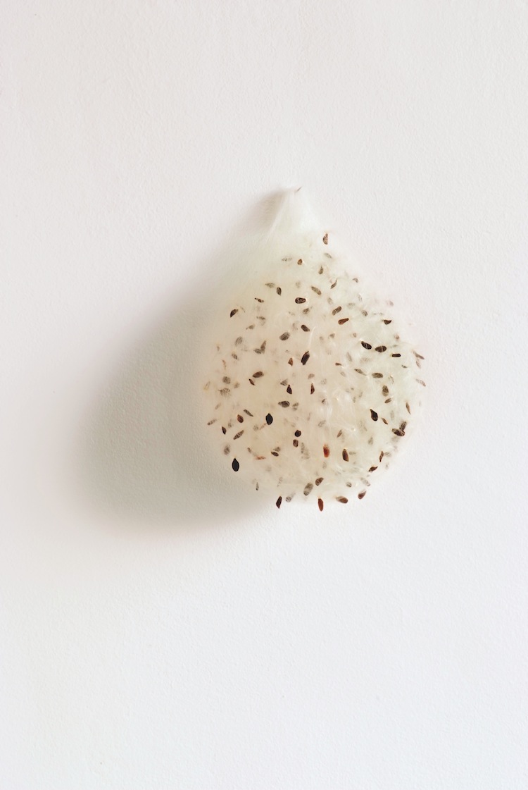 Christiane Löhr, Kleiner Samenbeutel (piccola borsa di semi), 2010, pappi, retina, chiodo, 15x10x9 cm