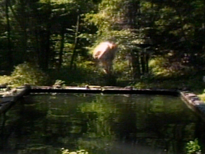 The Reflecting Pool (Vasca riflettente) Bill Viola, 1977-1979, 7’. Videotape, colore, audio monofonico. Prodotto presso WNET/Thirteen Television Laboratory, New York e WXXI-TV Workshop, Rochester, NY. Courtesy Bill Viola Studio