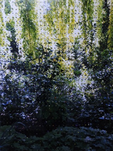 Valentina Perazzini, Le Jardin de la Clarté Parfaite, 2017, collage su stampa digitale, 76x100 cm