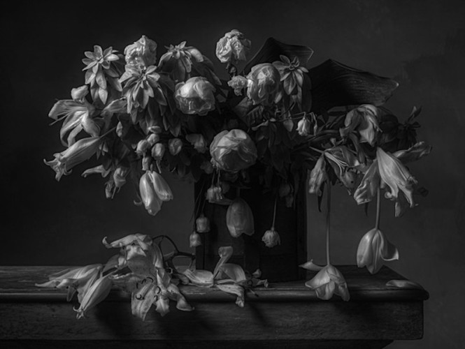 Christopher Broadbent, Flowers XII, 2013, Ed. of 3, 76x54 cm