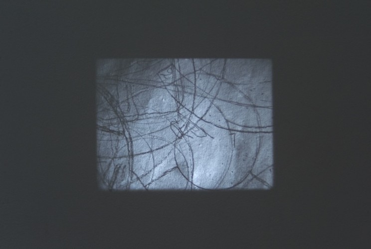 Tacita Dean, Still Life, 2009, 16mm black and white film, mute, 5 1/2 minutes Courtesy of the artist, Marian Goodman Gallery, Paris and New York and Frith Street Gallery, London Photo Poelzl