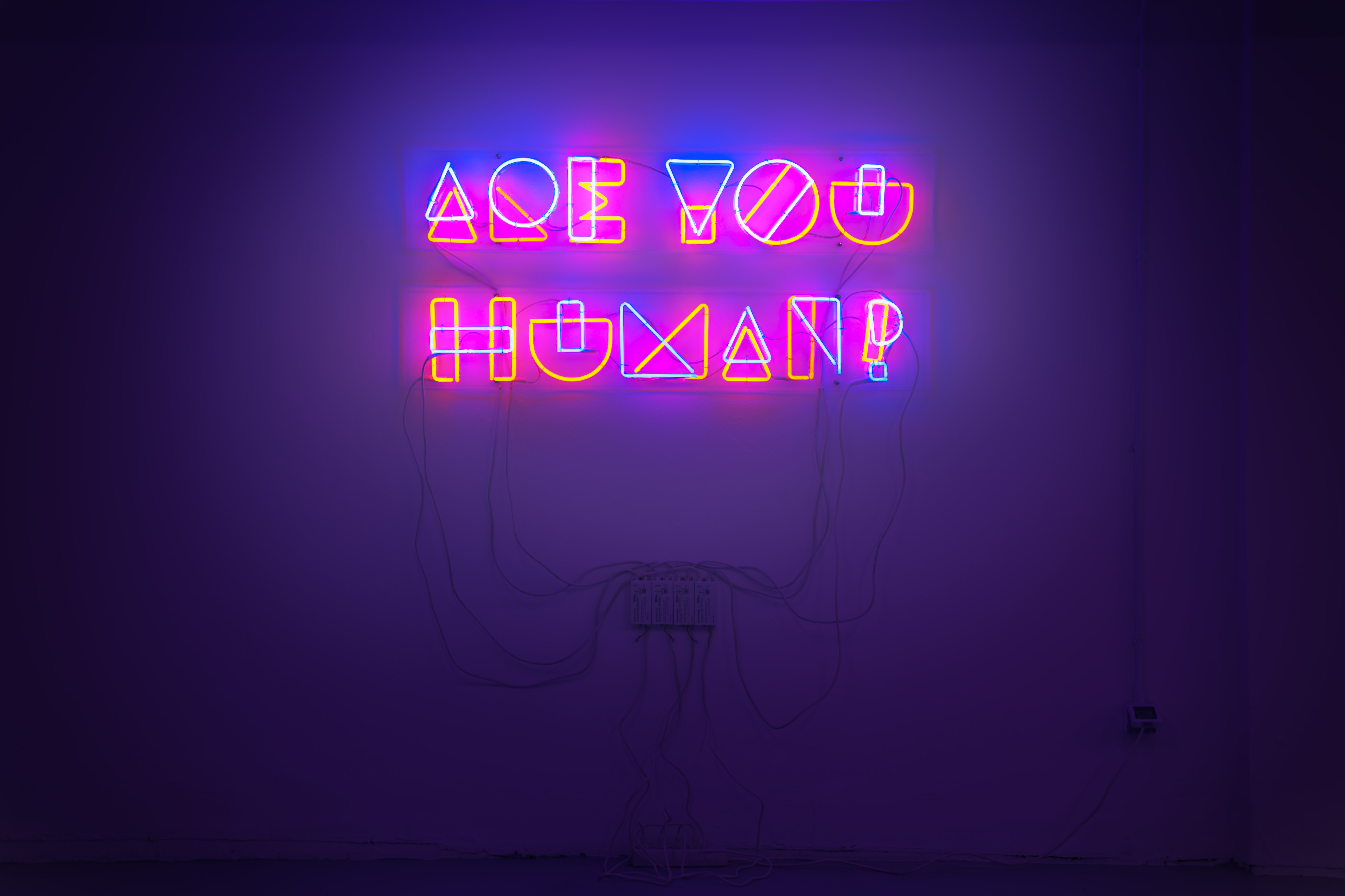 Marotta & Russo Are You Human? 2011, neon, 134 x 170 cm, collezione privata (photo Irene Fanizza)