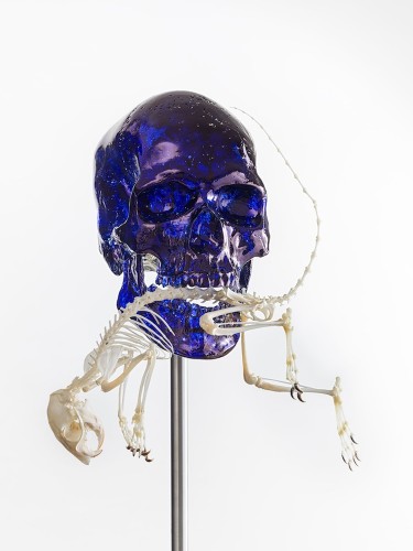 Jan Fabre, Skull with Squirrel, 2017, Murano glass, skeleton of a squirrel, Bic ink, stainless steel, 53.6x23.8x25.2 cm Photographer Pat Verbruggen Copyright Angelos bvba