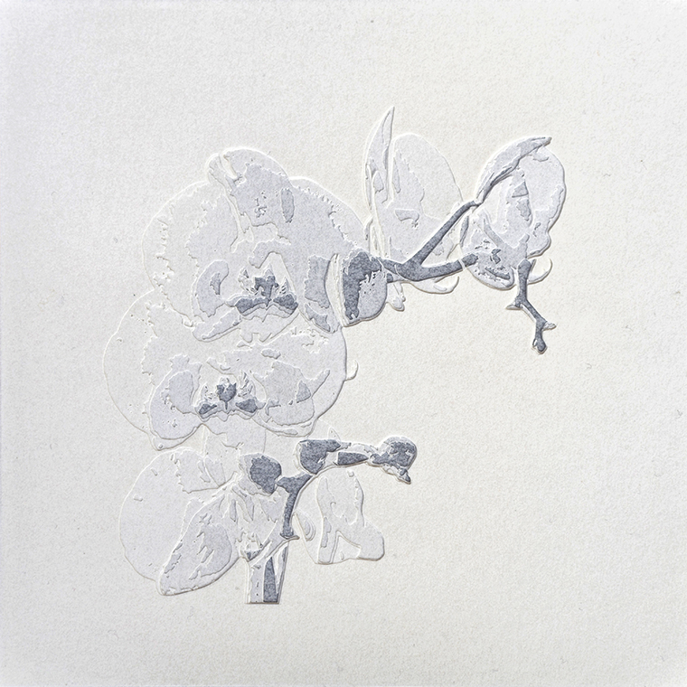 Giorgio Tentolini, Nipponismi, 2017, carta pergamena intagliata e sovrapposta a fondale nero, serie di 7, 21x21 cm cad