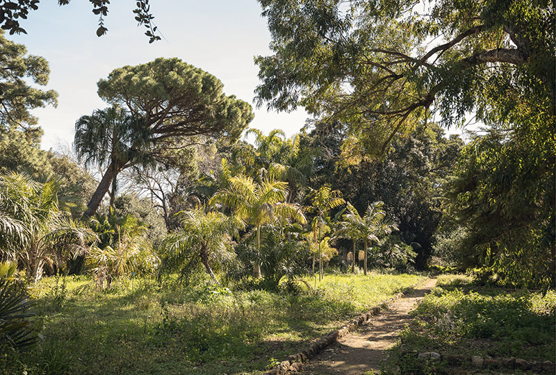 Orto Botanico_Manifesta 12 Palermo Atlas_Photo Delfino Sisto Legnani, 2017, courtesy OMA