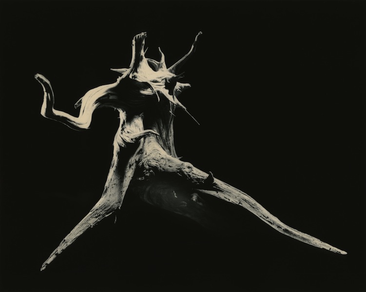Yamamoto Masao, #3029, Dance W, 2012, stampa ai sali d’argento, incorniciata, 60x71cm