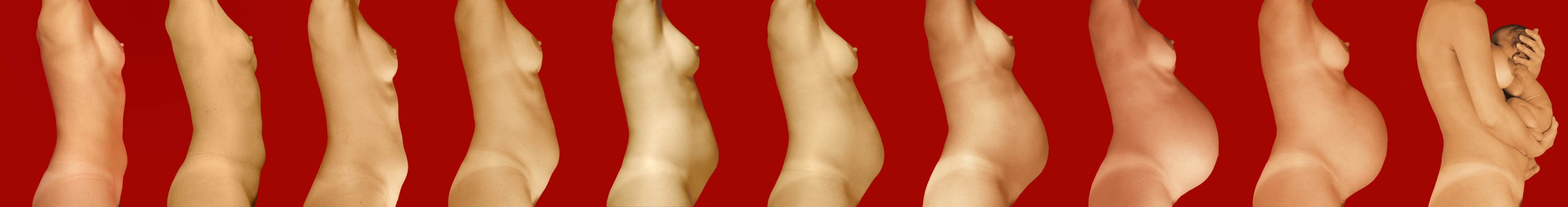 Simona Palmieri, Senza titolo, 2007