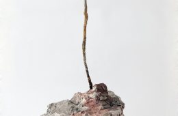 Ilaria Cuccagna, Sculpture's heart, Gesso, acqua di mare, ossido di ferro, 35 x 20 x 75 cm, 2021